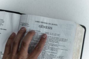 BIBLE VERSES ABOUT THE MAJESTY OF GOD'S CREATION