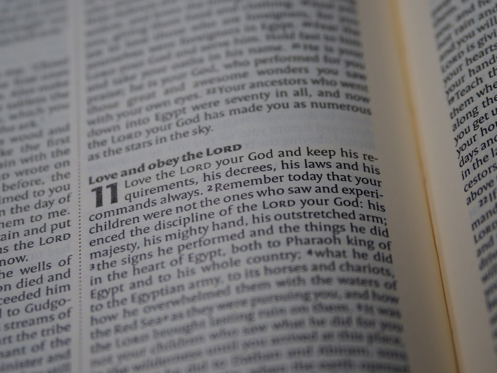 BIBLE VERSES ABOUT OBEYING PARENTS (KJV)