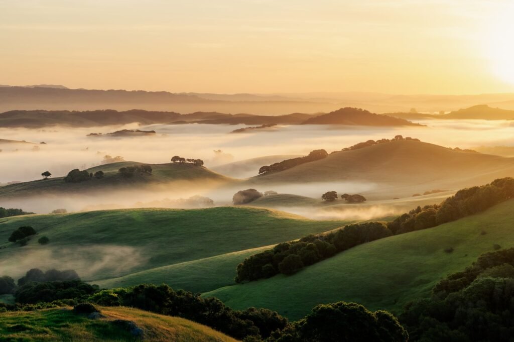 Peaceful nature Jesus’ Teaching on Focusing on Today