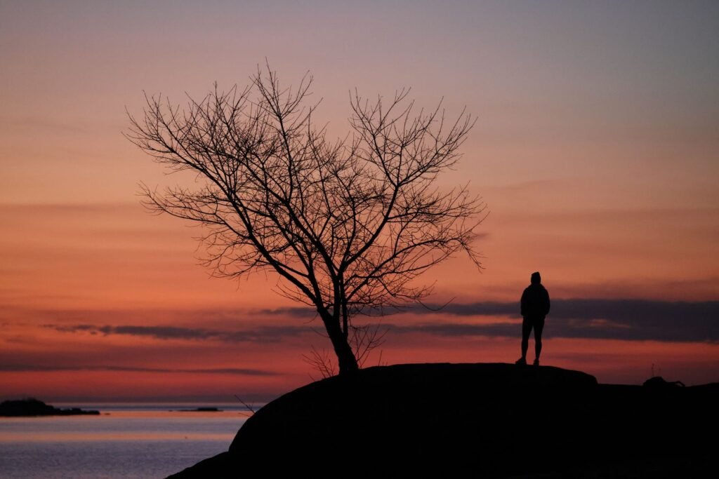 Peaceful nature The Gift of Stillness and Awareness