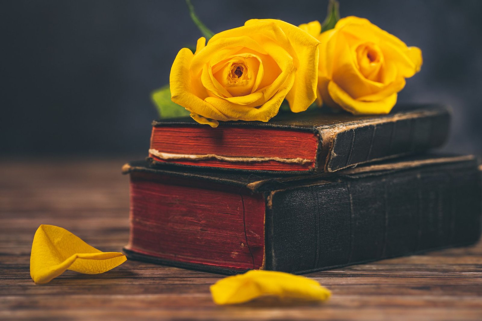 BIBLE VERSES ABOUT ROMANCE