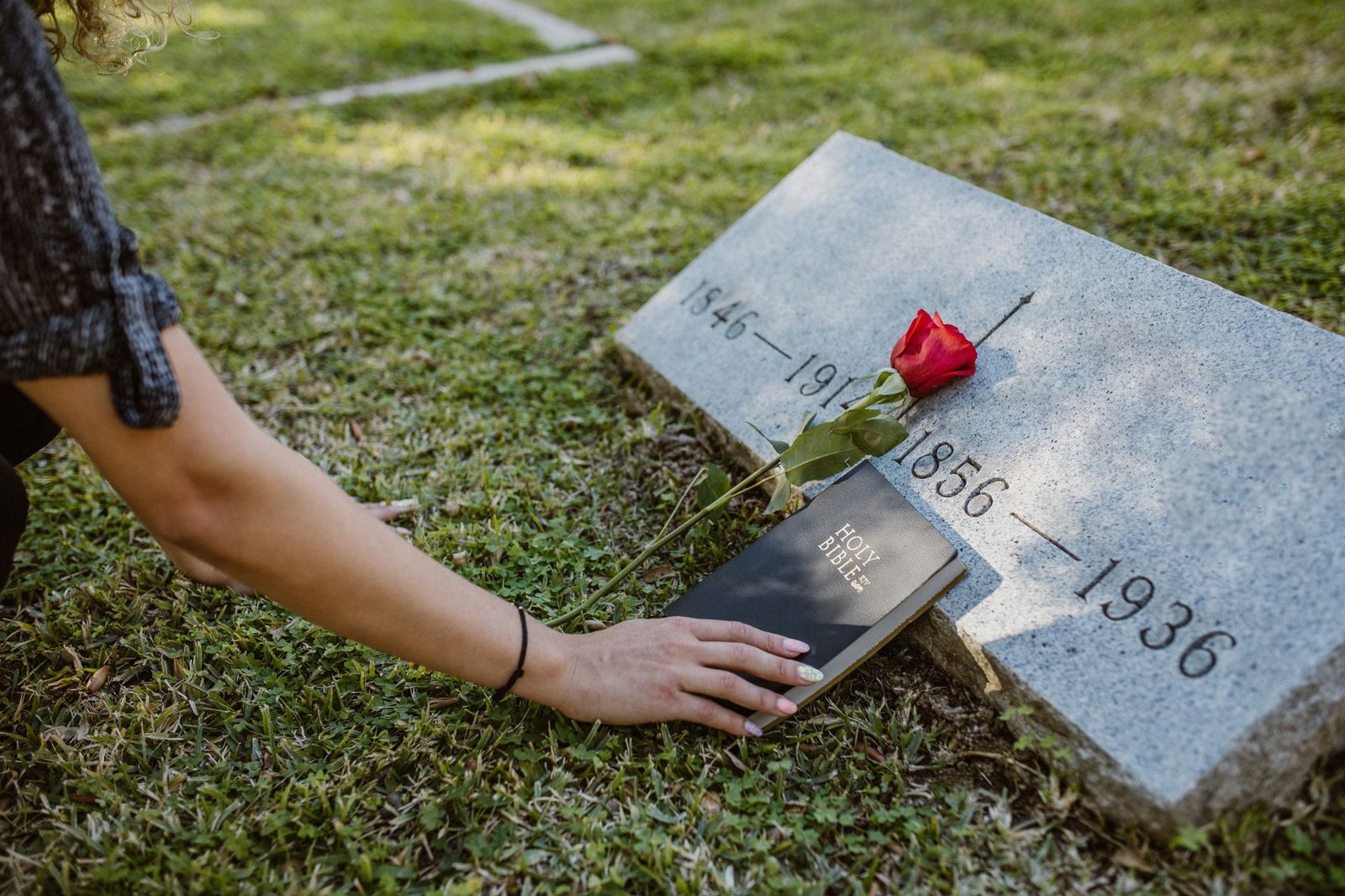 BIBLE VERSES ABOUT ROSES (KJV)