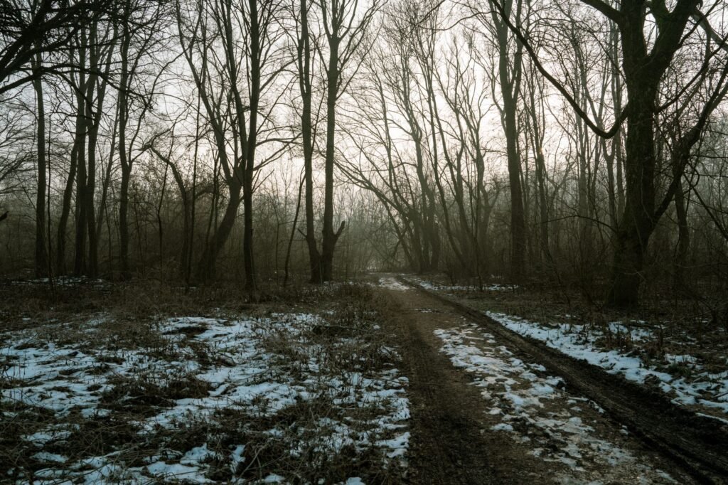Walking with God Staying Firm in Faith