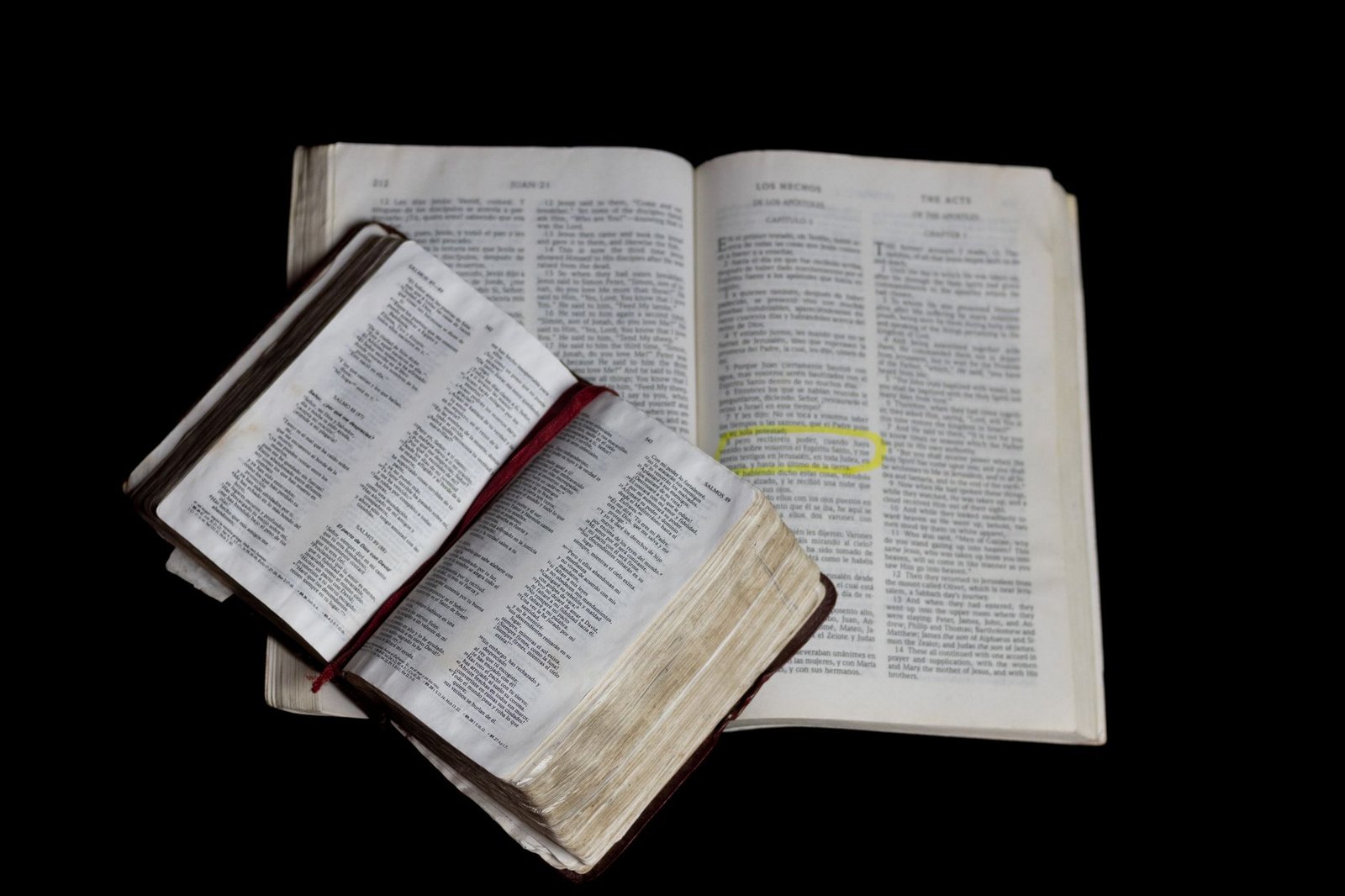 BIBLE VERSES ABOUT PERSECUTION (KJV)