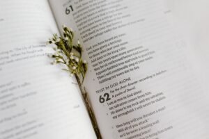 BIBLE VERSES THAT TALK ABOUT TRUSTING GOD BIBLE VERSES THAT TALK ABOUT TRUSTING GOD