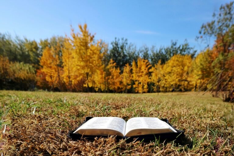 Bible Verses About Tree Of Life