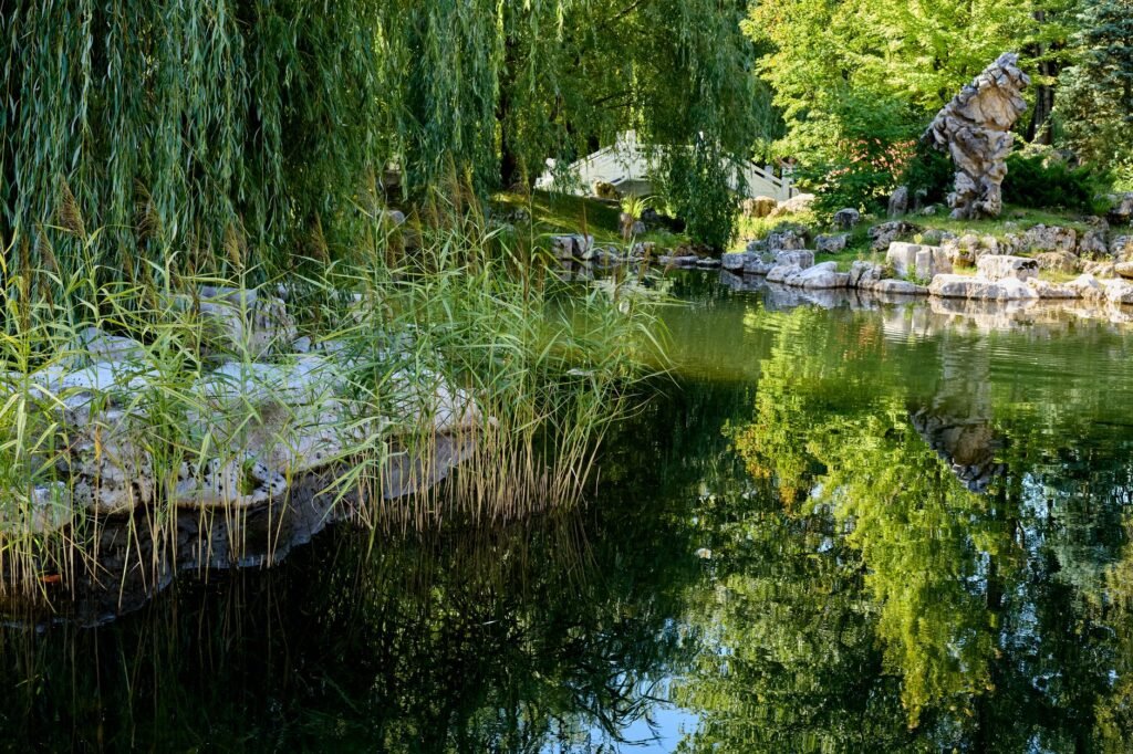 A peaceful landscape symbolizes the tranquility that patience can bring to our lives