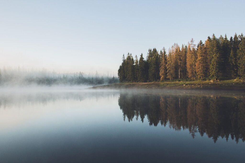 A serene landscape that embodies the essence of contentment