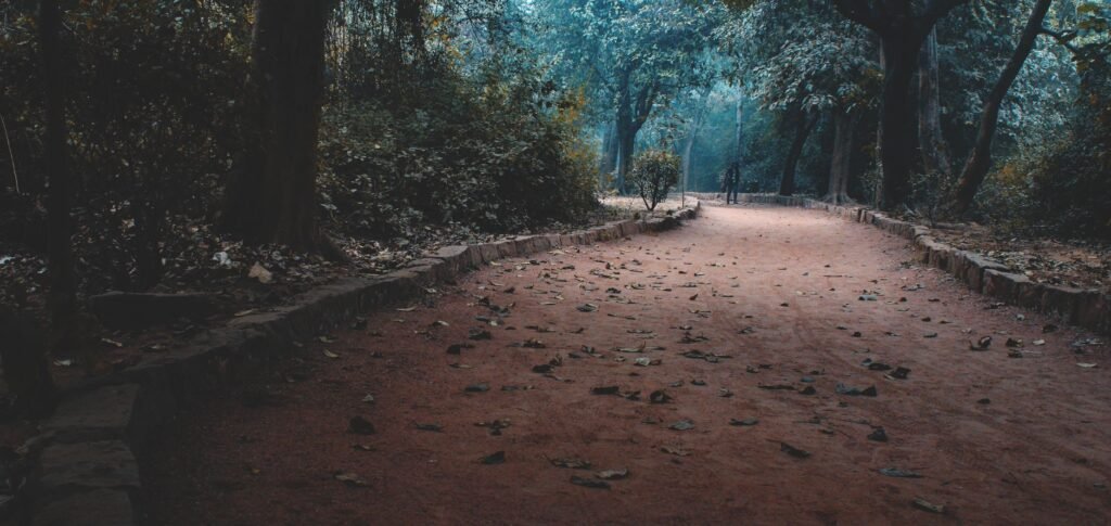 A serene path through a quiet forest, symbolizing loneliness and contemplation
