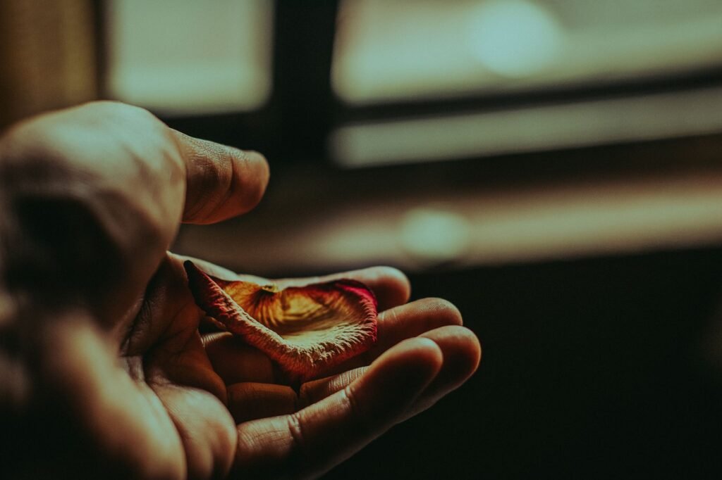 An image showing a person offering forgiveness, symbolizing healing and restoration