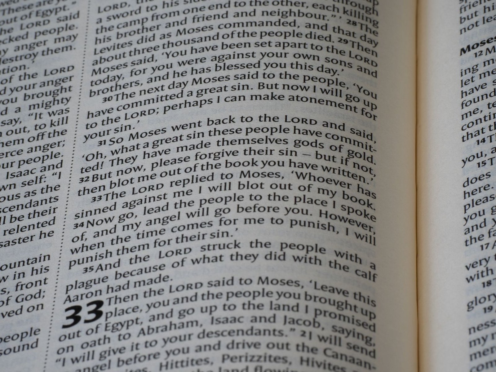 Finding Contentment: Biblical Insights for a Fulfilled Life