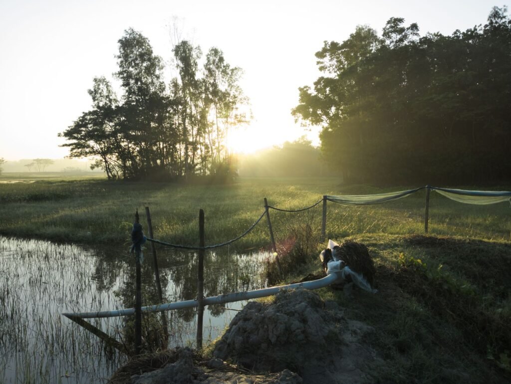 A calm and peaceful morning setting invites reflection and prayer