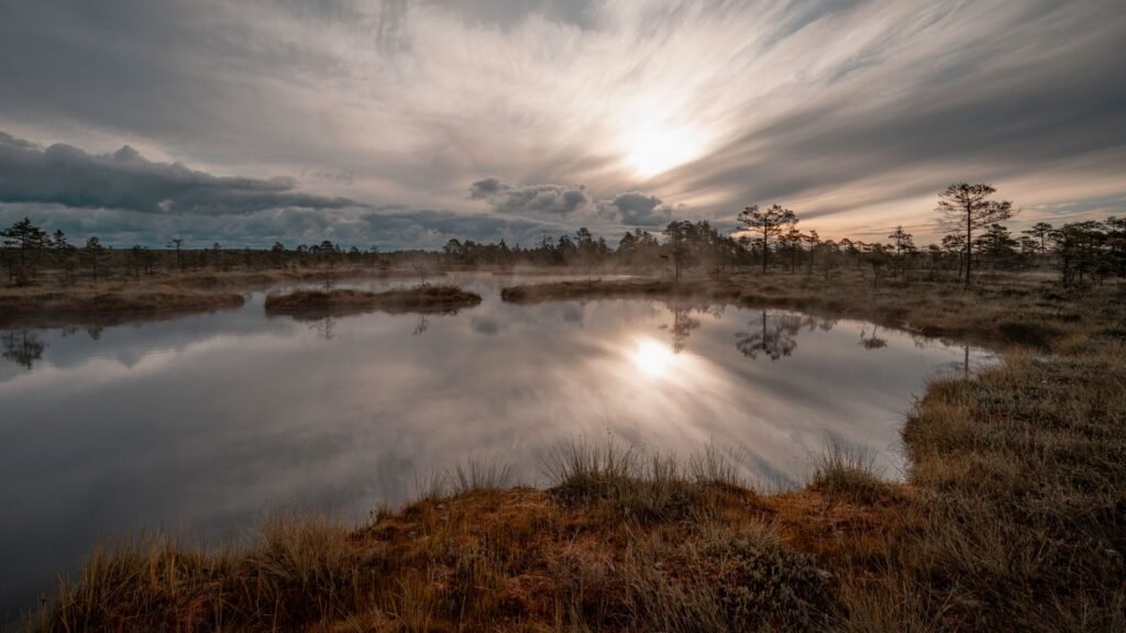 A peaceful nature scene can help evoke feelings of calm and reflection