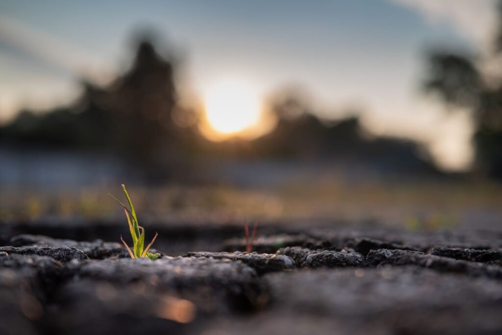A person in quiet prayer, seeking hope and guidance