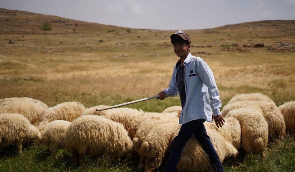 A portrayal of David as a shepherd, symbolizing his humble beginnings and reliance on God