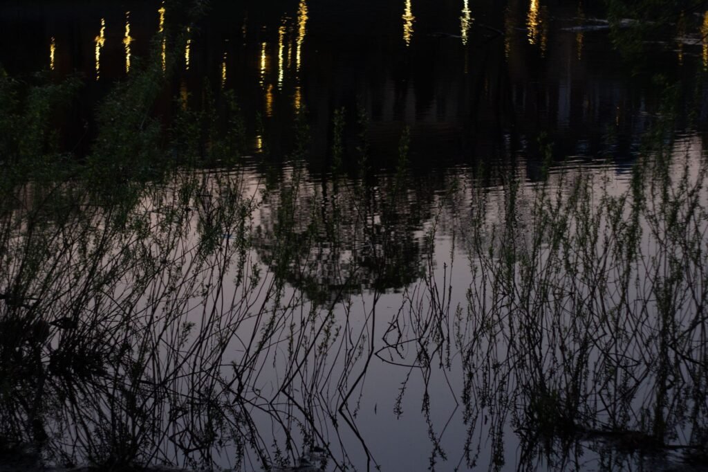 A serene landscape reflecting inner peace and gratitude