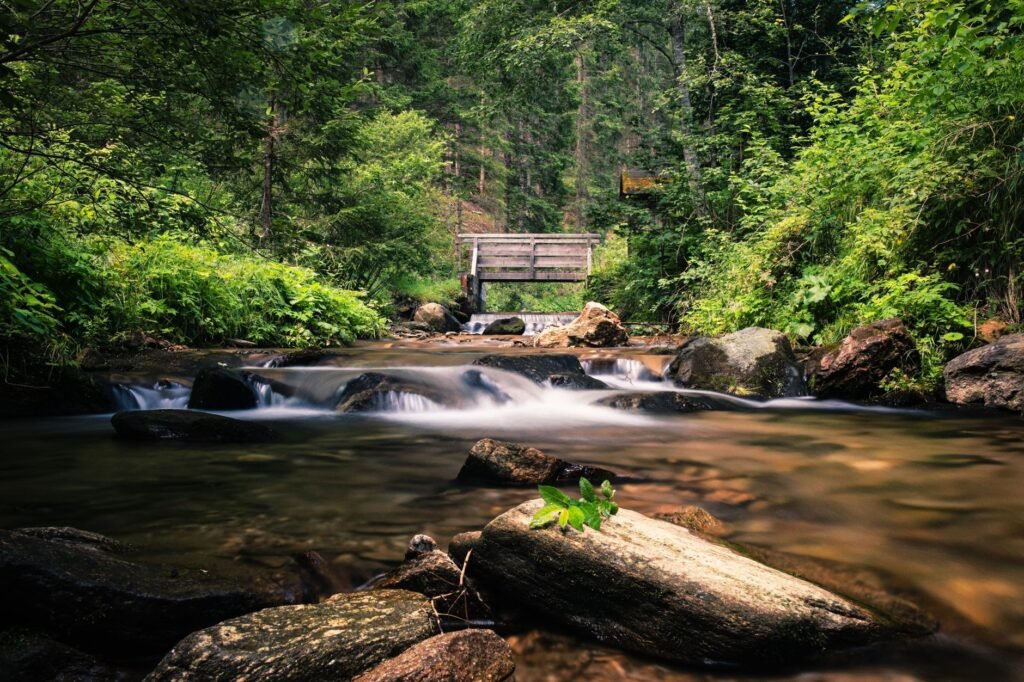 A serene landscape that evokes feelings of calm and tranquility