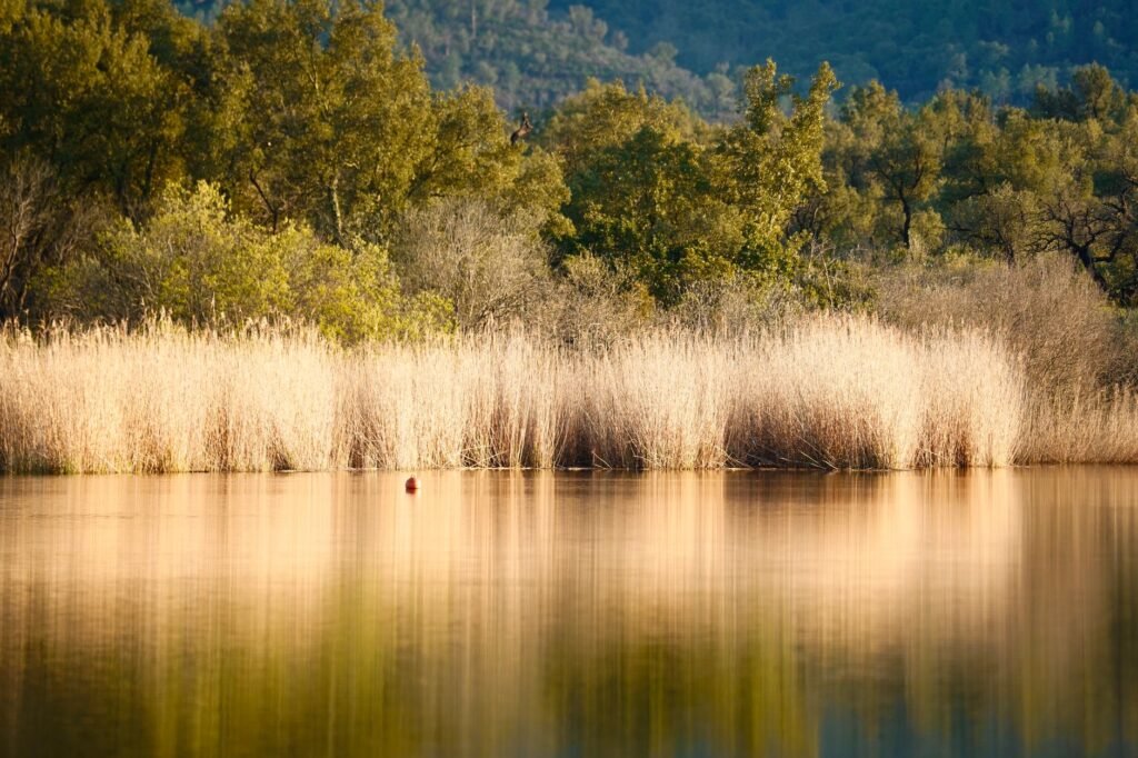 A serene landscape to reflect God's peace amidst anxiety