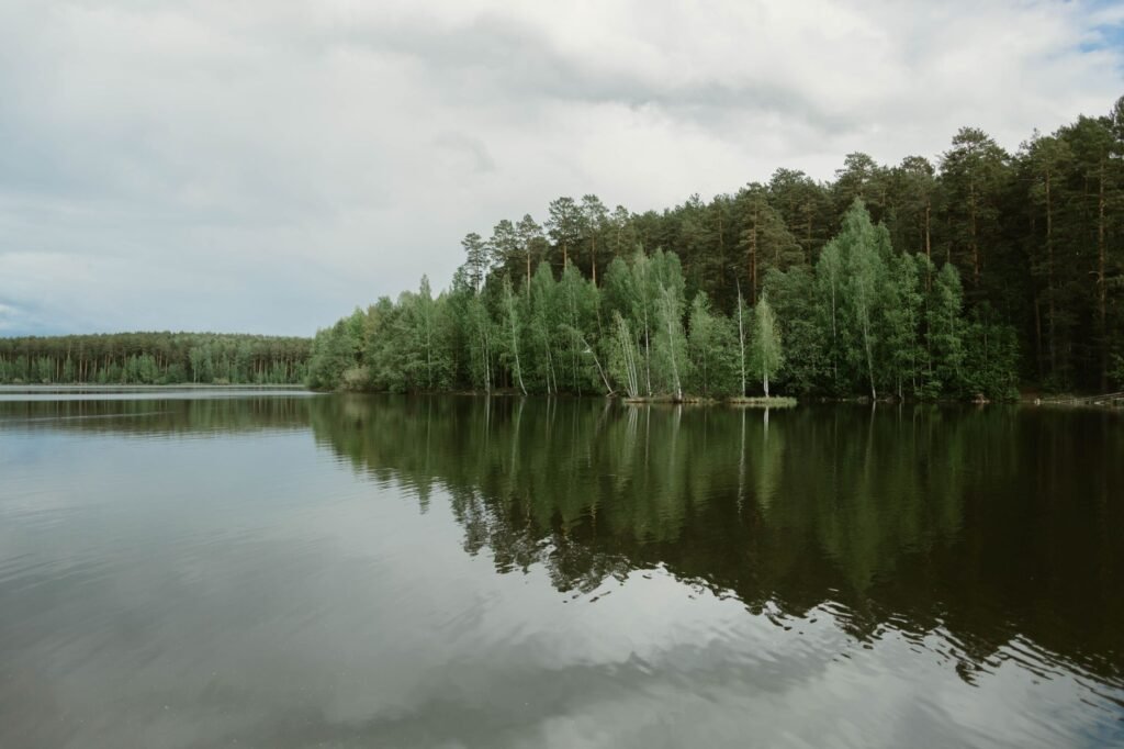 A serene landscape to symbolize peace amidst fear