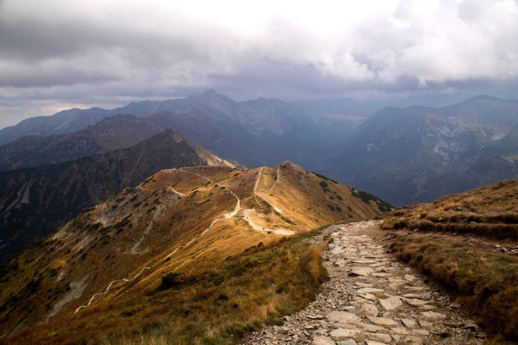 A serene path leading through the mountains, symbolizing the journey ahead
