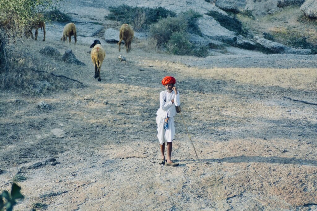 A shepherd watches over his flock, symbolizing God's care for us