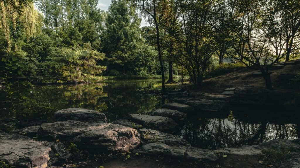 A tranquil landscape that evokes a sense of peace and serenity, illustrating God’s creation