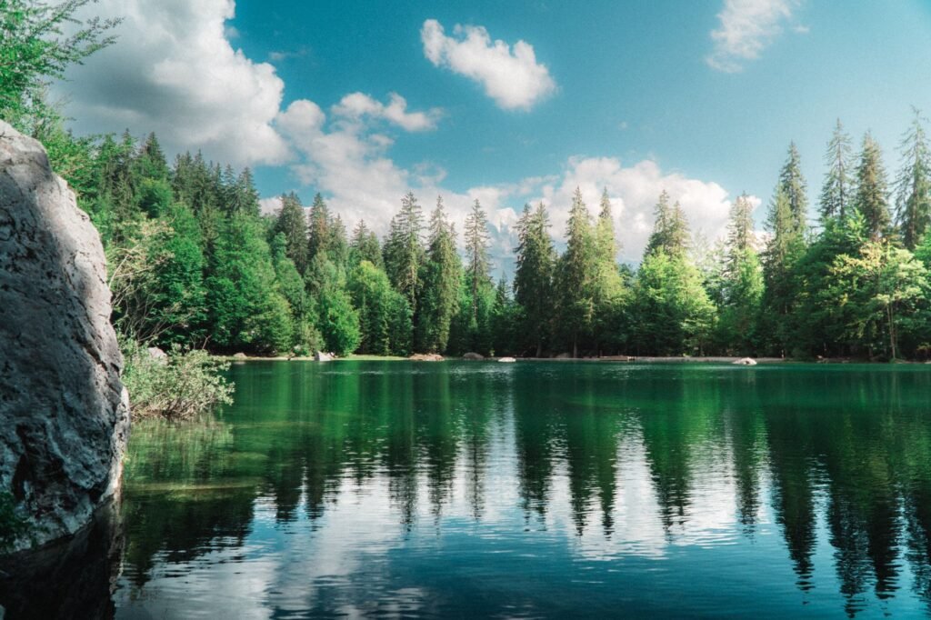 A tranquil scene of a forest path, signifying peace and divine protection in our journeys