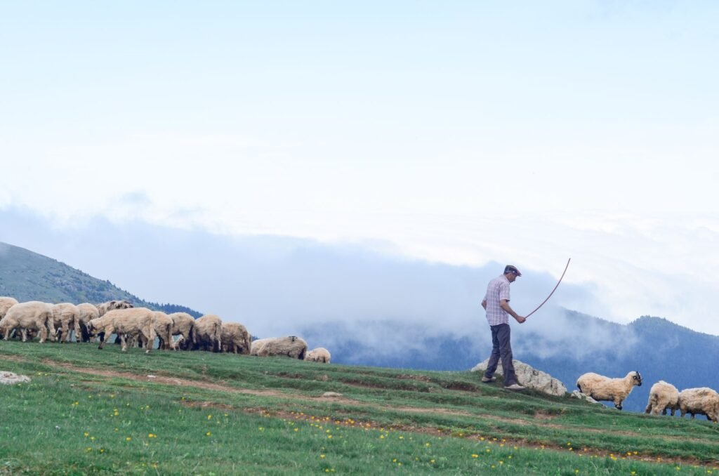David was a shepherd before becoming king, reflecting humility and service
