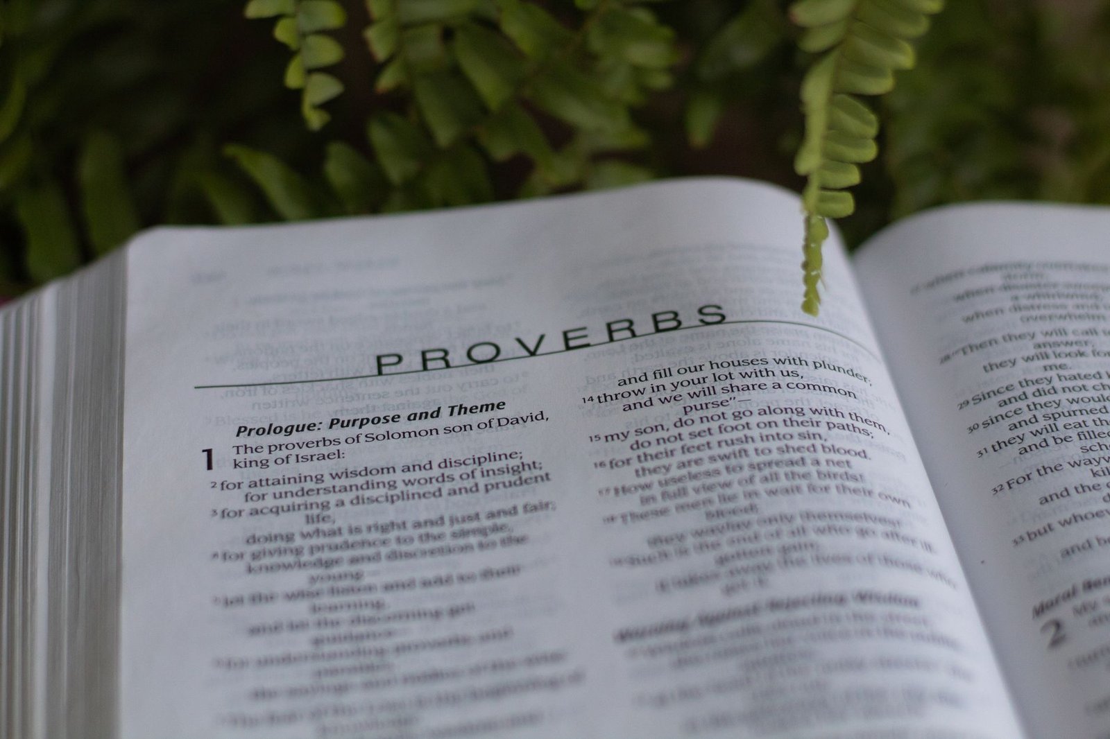 Discovering Your Purpose Through Scripture