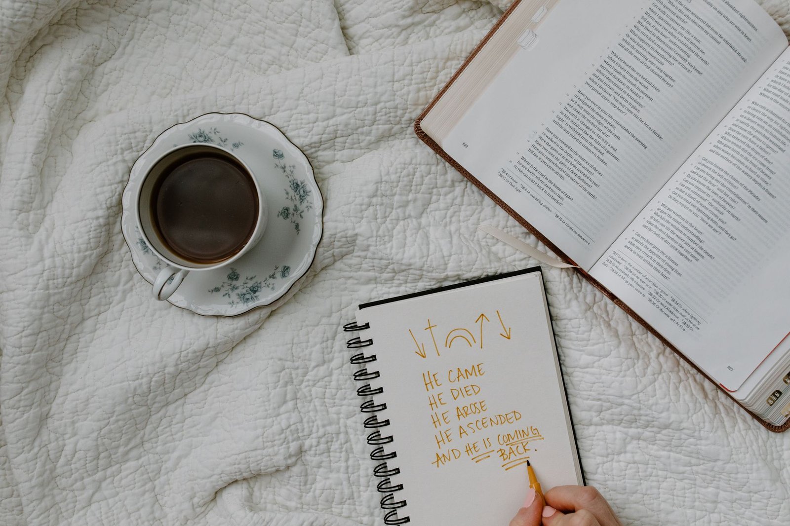 Embracing Change: Lessons Christians Can Learn From Transition