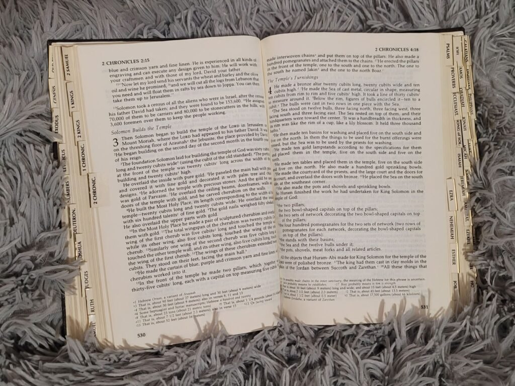 Bible Studies