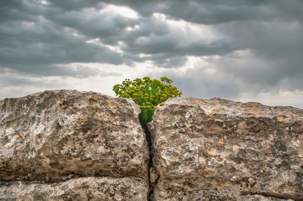Job's unwavering faith amidst trials is a powerful biblical example of perseverance