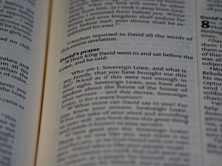 Lessons From The Life Of David In The Bible