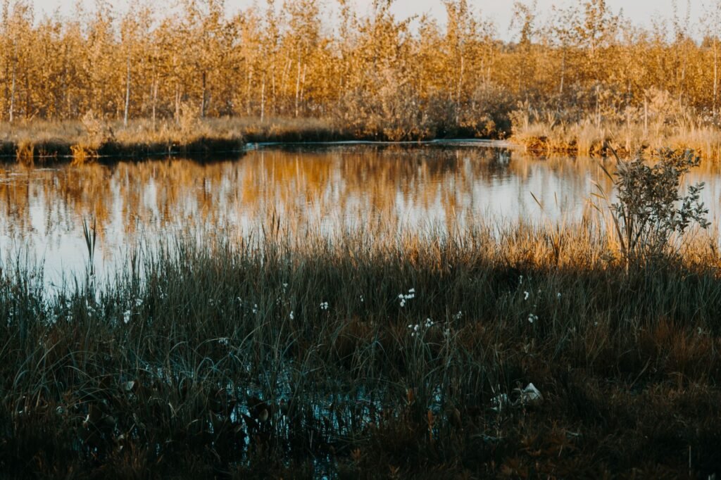 Nature's beauty can provide peace and a perfect backdrop for prayer