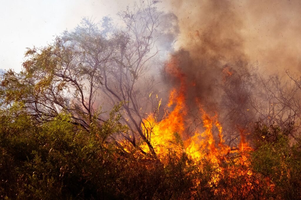 The burning bush symbolizes God’s call and holiness